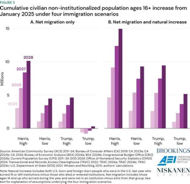 What is immigration in an ecosystem?