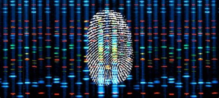 What is in a persons DNA fingerprint based