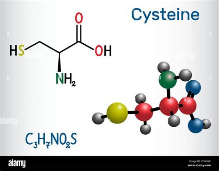 What is L cysteine used for