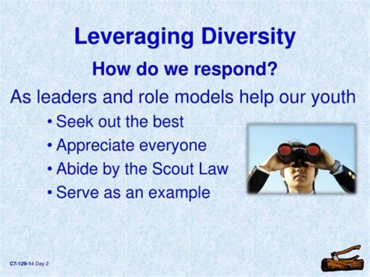 What is leveraging diversity