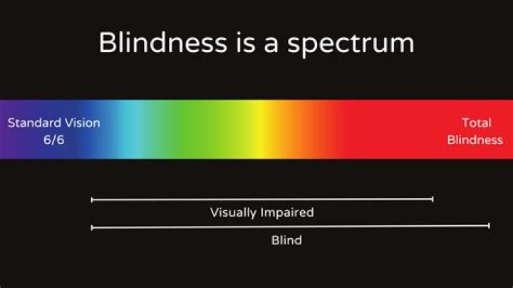 What is low vision and blindness?