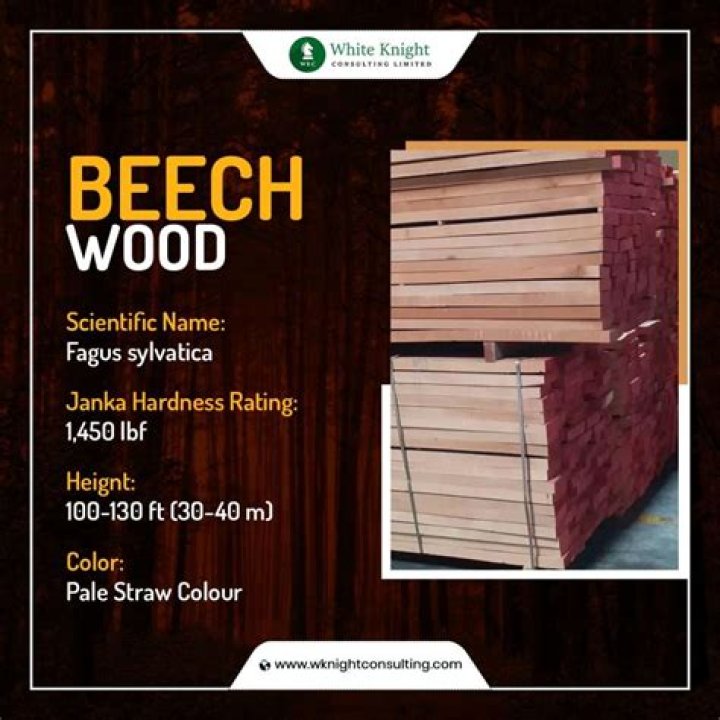 What is made out of beech wood