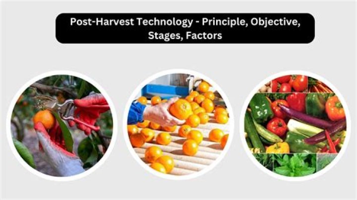 What is mean by post harvest technology