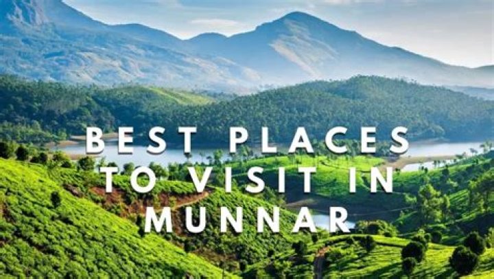 What is Munnar tea?