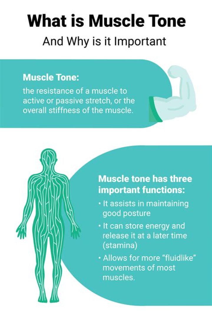 What is muscle tone and what produces it?