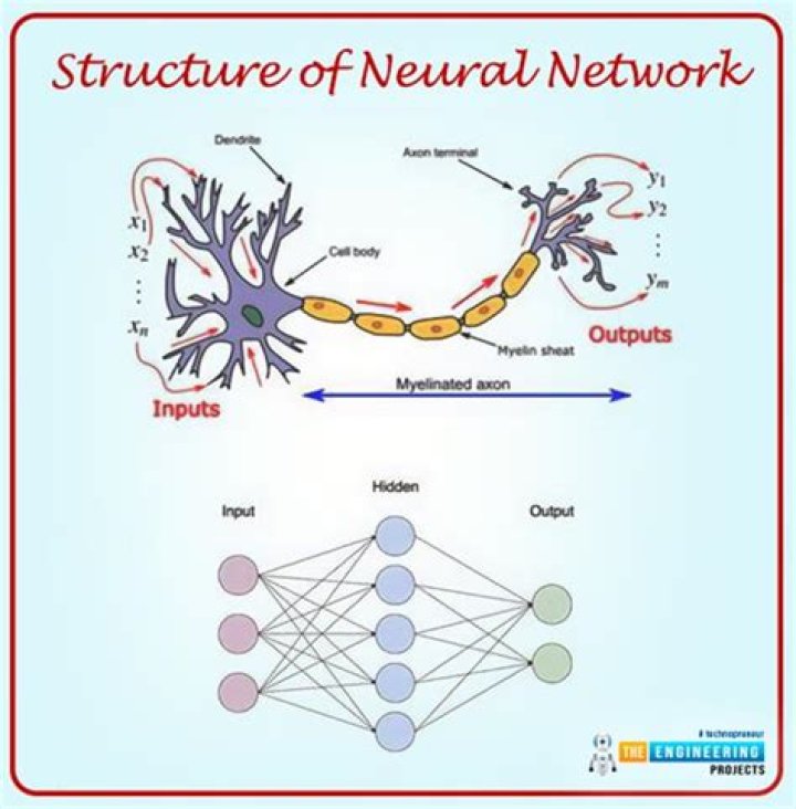 What is neural network classifier