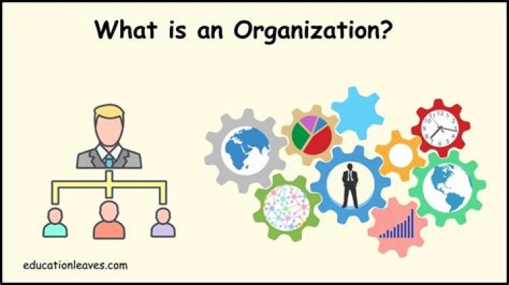 What is organization image