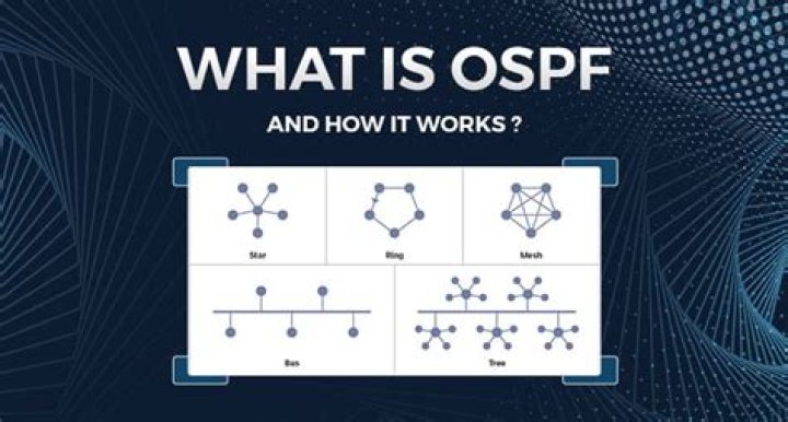 What is OSPF DRother