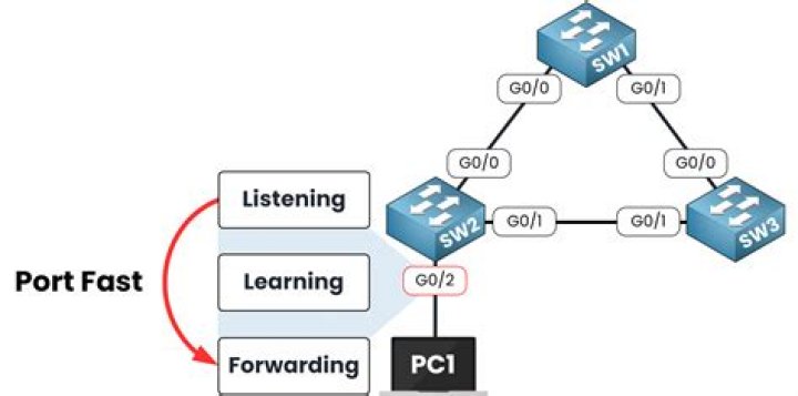 What is PortFast used for