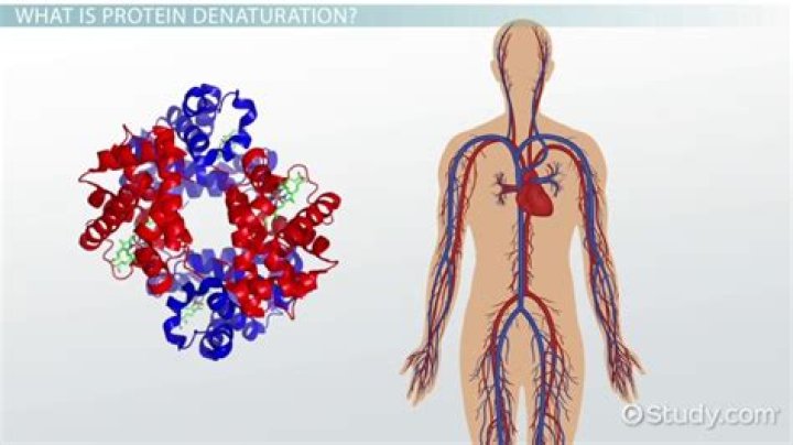 What is protein denaturation and what causes it?