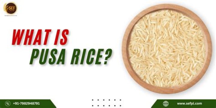 What is Pusa Basmati rice?