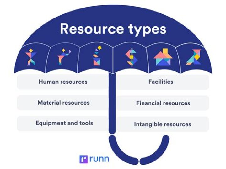 What is Resource How many types of resource?