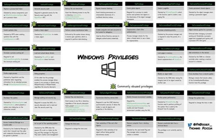 What is SeLoadDriverPrivilege