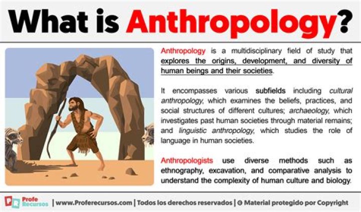 What is sociology psychology and anthropology