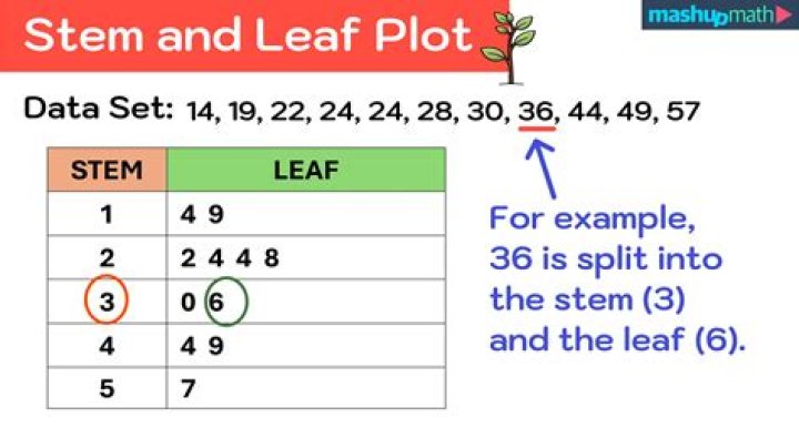 What is stem and leaf diagram in statistics