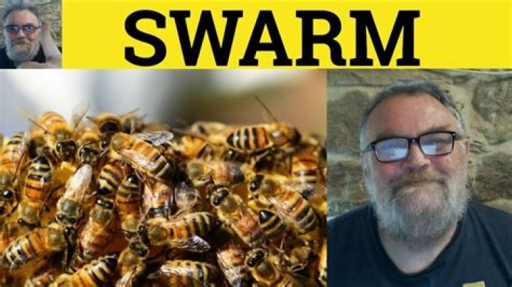 What is swarm manager