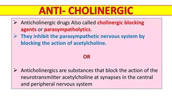 What is the action of cholinergic drugs
