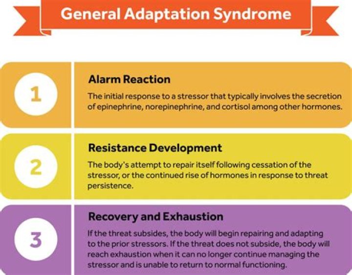 What is the adaptation syndrome
