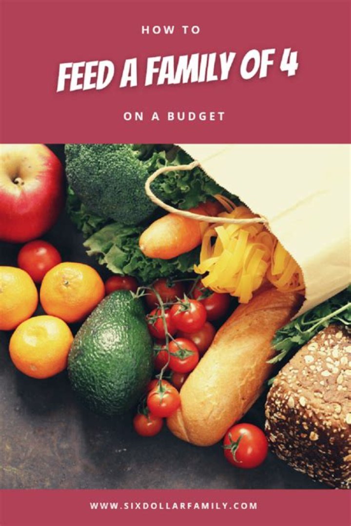 What is the average cost to feed a family of 3