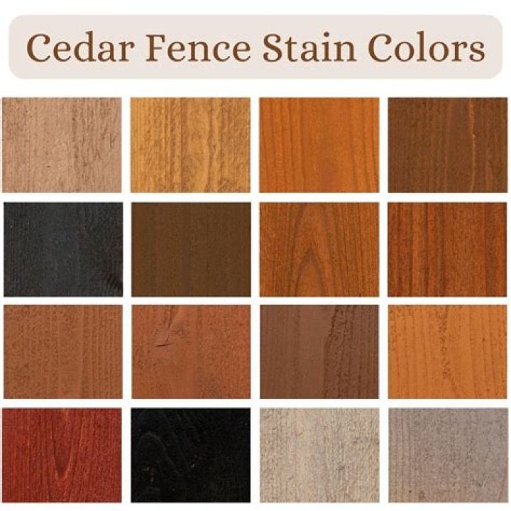 What is the best color to stain cedar
