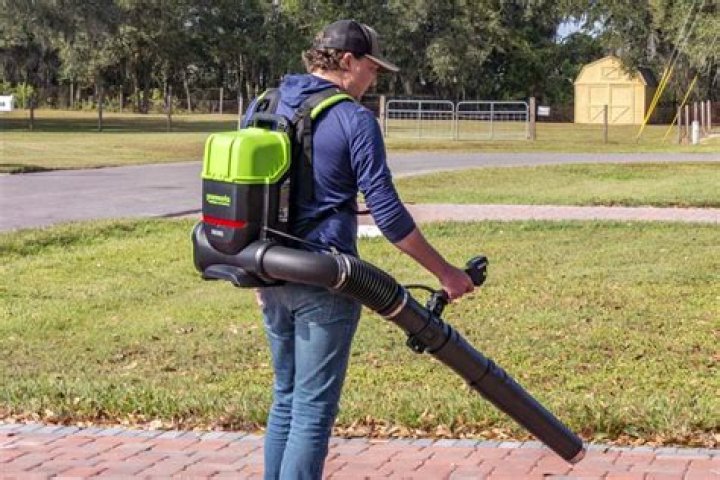 What is the best commercial backpack blower