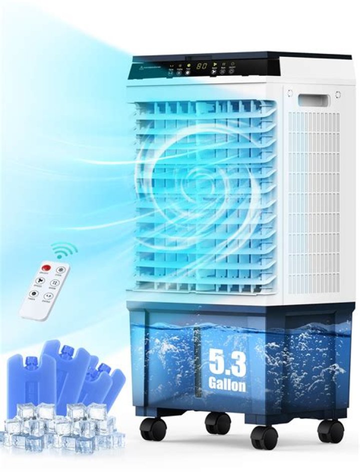 What is the best cooler for the price?