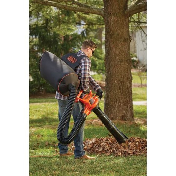 What is the best gas leaf blower vacuum mulcher
