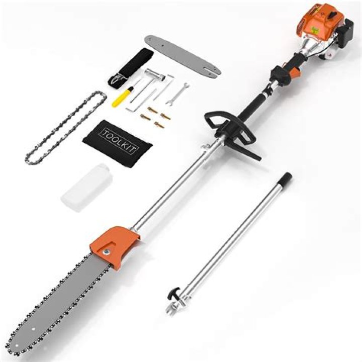 What is the best pole chainsaw
