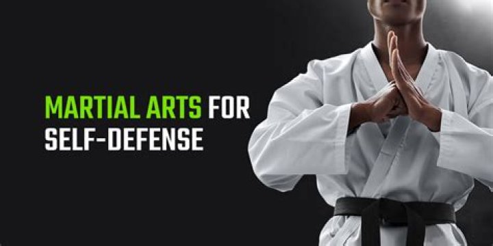 What is the best self Defence martial art?