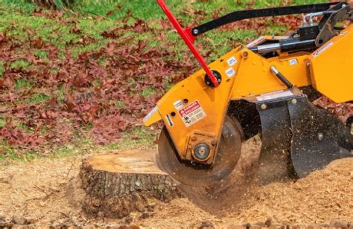 What is the best stump grinder on the market
