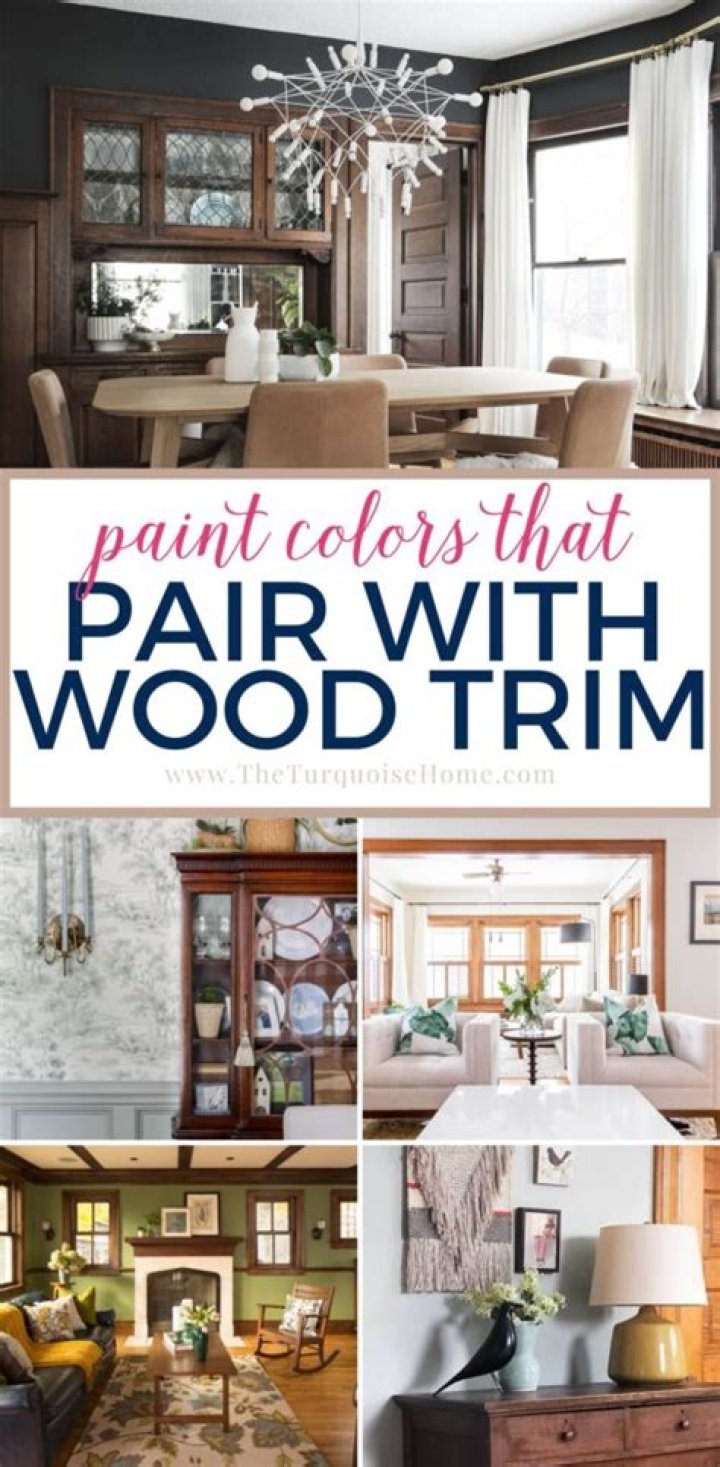 What is the best trim paint
