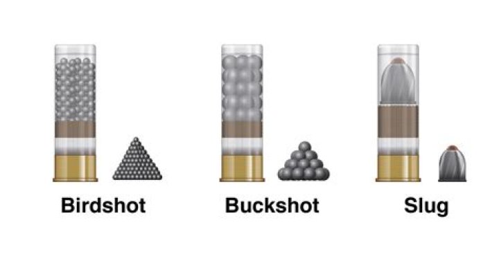 What is the difference between #4 shot and #4 buckshot?