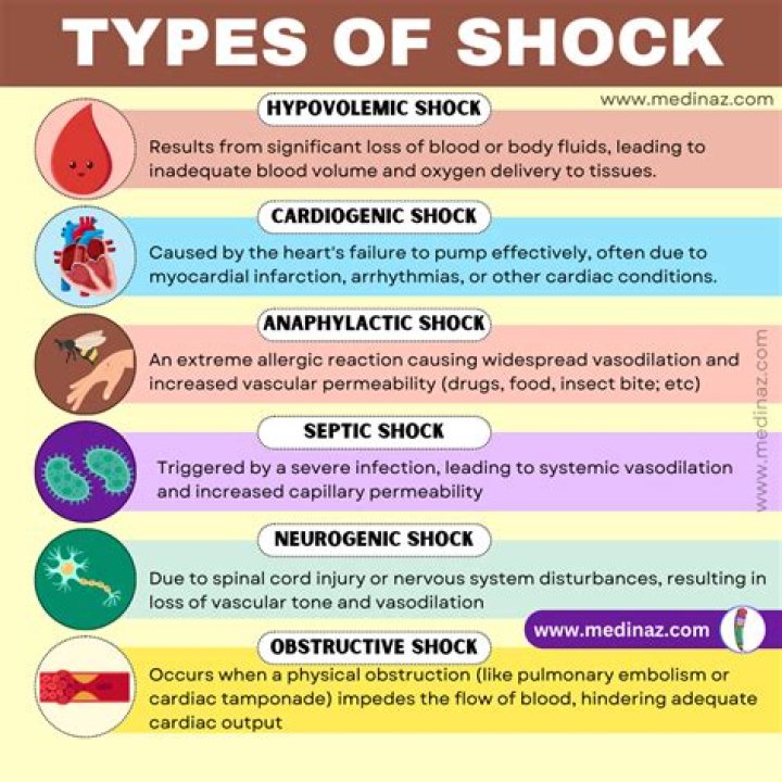 What is the difference between hypovolemic shock and hemorrhagic shock