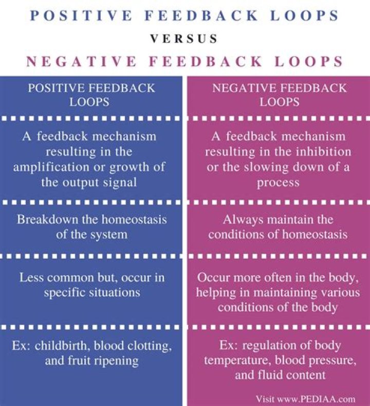 What is the difference between negative feedback mechanisms and positive feedback mechanisms