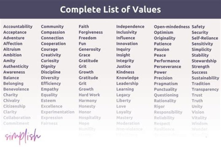 What is the difference between values and traits