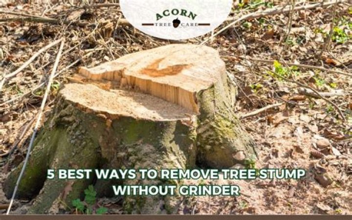 What is the easiest way to remove a tree stump?
