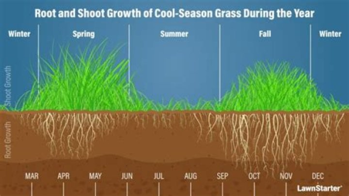What is the latest time you can cut your grass