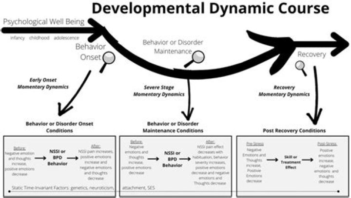 What is the main idea of the dynamic systems view of development
