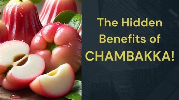 What is the meaning of Chambakka