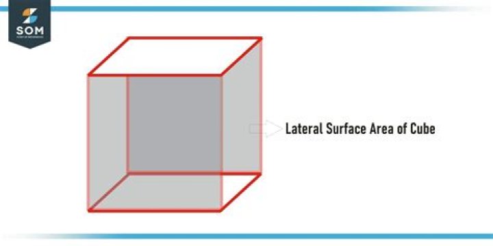 What is the meaning of lateral surface area of a cuboid