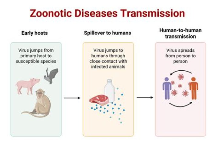 What is the most common means of transmission of infectious disease?