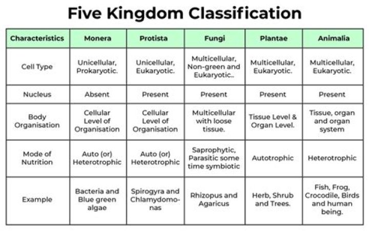 What is the name of the domain that contains four kingdoms?