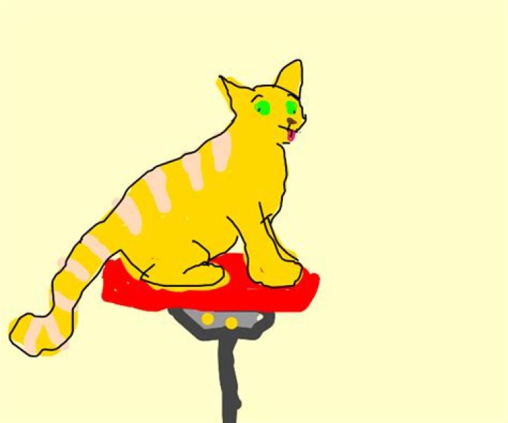 What is the name of the Impossible Quiz cat?