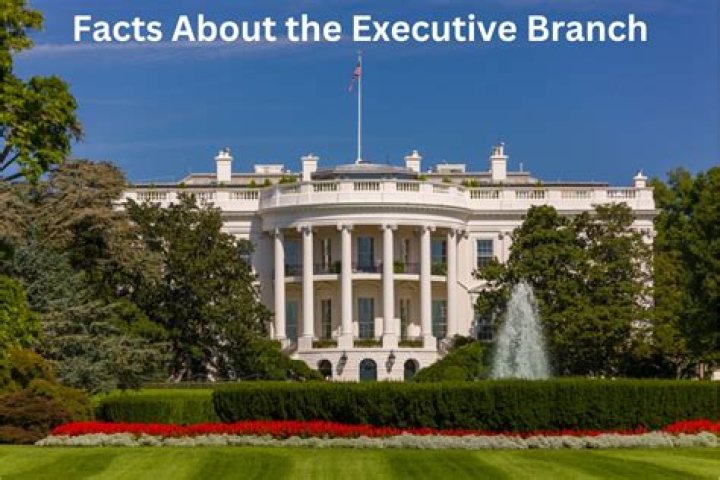 What is the official title of the person in charge of the executive branch under the Texas and US Constitution?