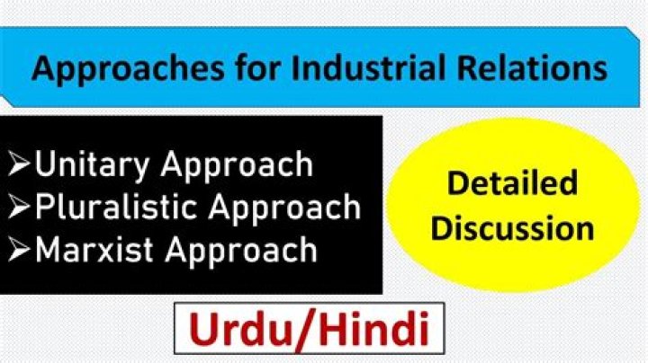What is the pluralist approach