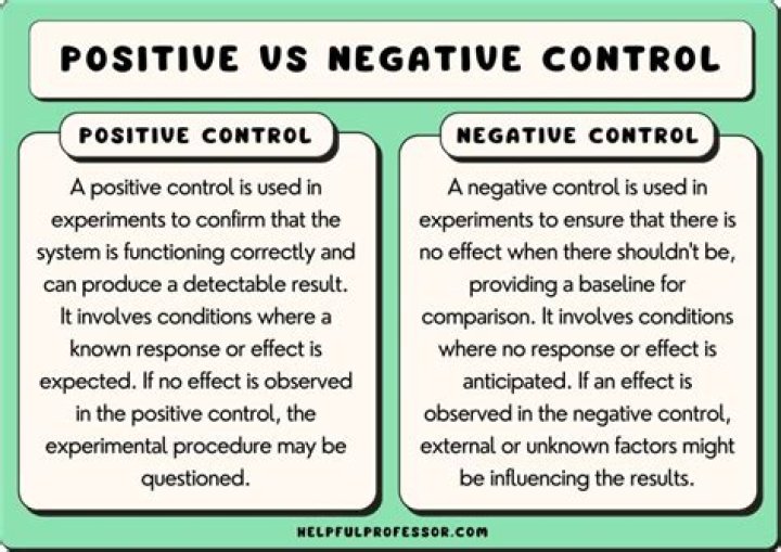 What is the purpose of a positive and negative control