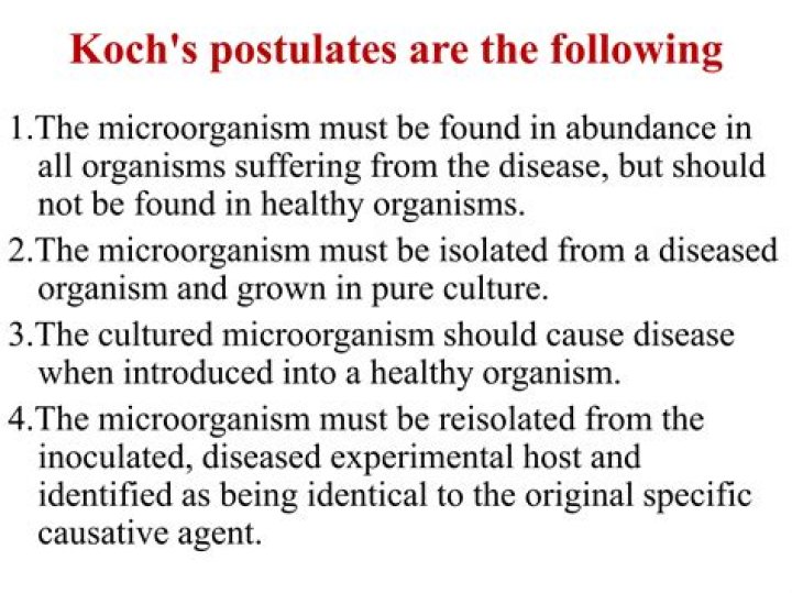 What is the purpose of Kochs postulates