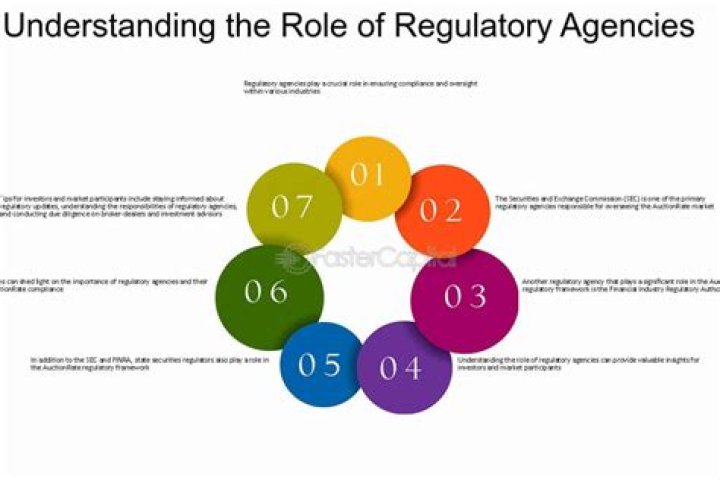 What is the purpose of Regulation SK