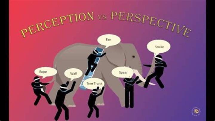 What is the saying about perception