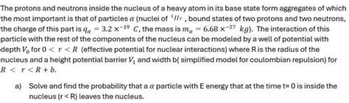 What is the semi fluid portion found inside the nucleus?